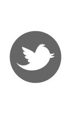 Twitter Icon